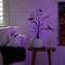 2ft. Pre-Lit Artificial Halloween Black Spooky Twig Tree with Bats and 40 Orange & Purple LED Lights